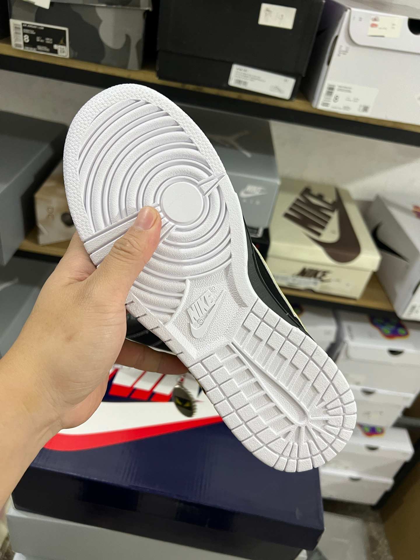 Dunk Low X Fendi
