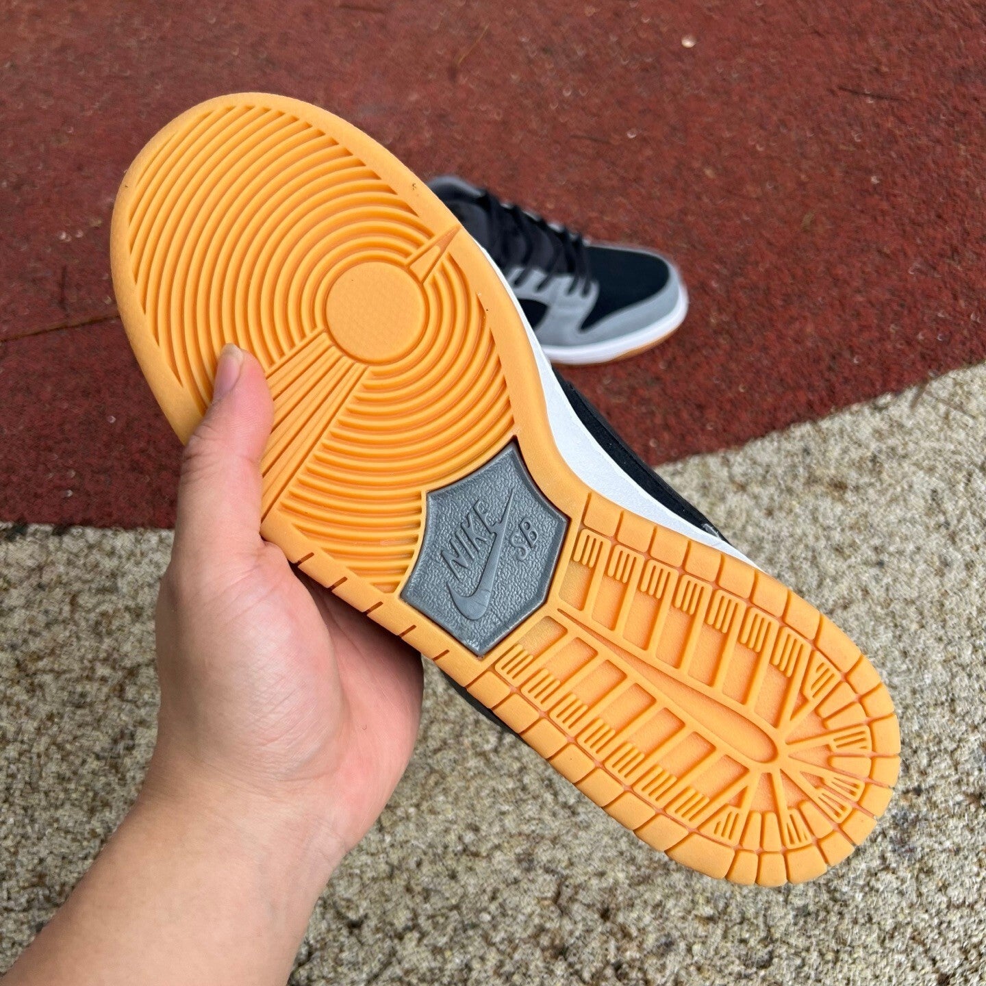 Dunk low SB