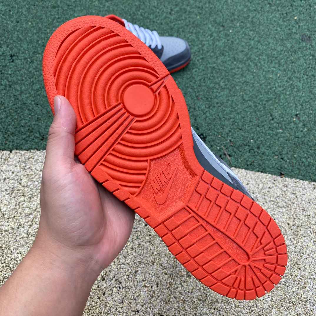 Dunk low Staple Pigeon