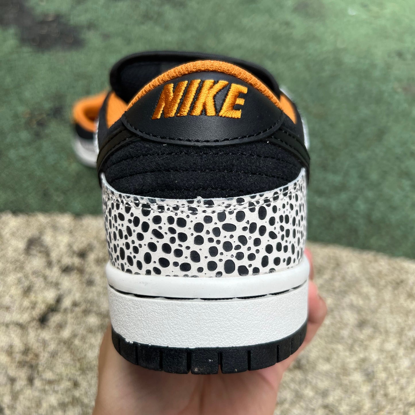 Dunk low Safari Olympics