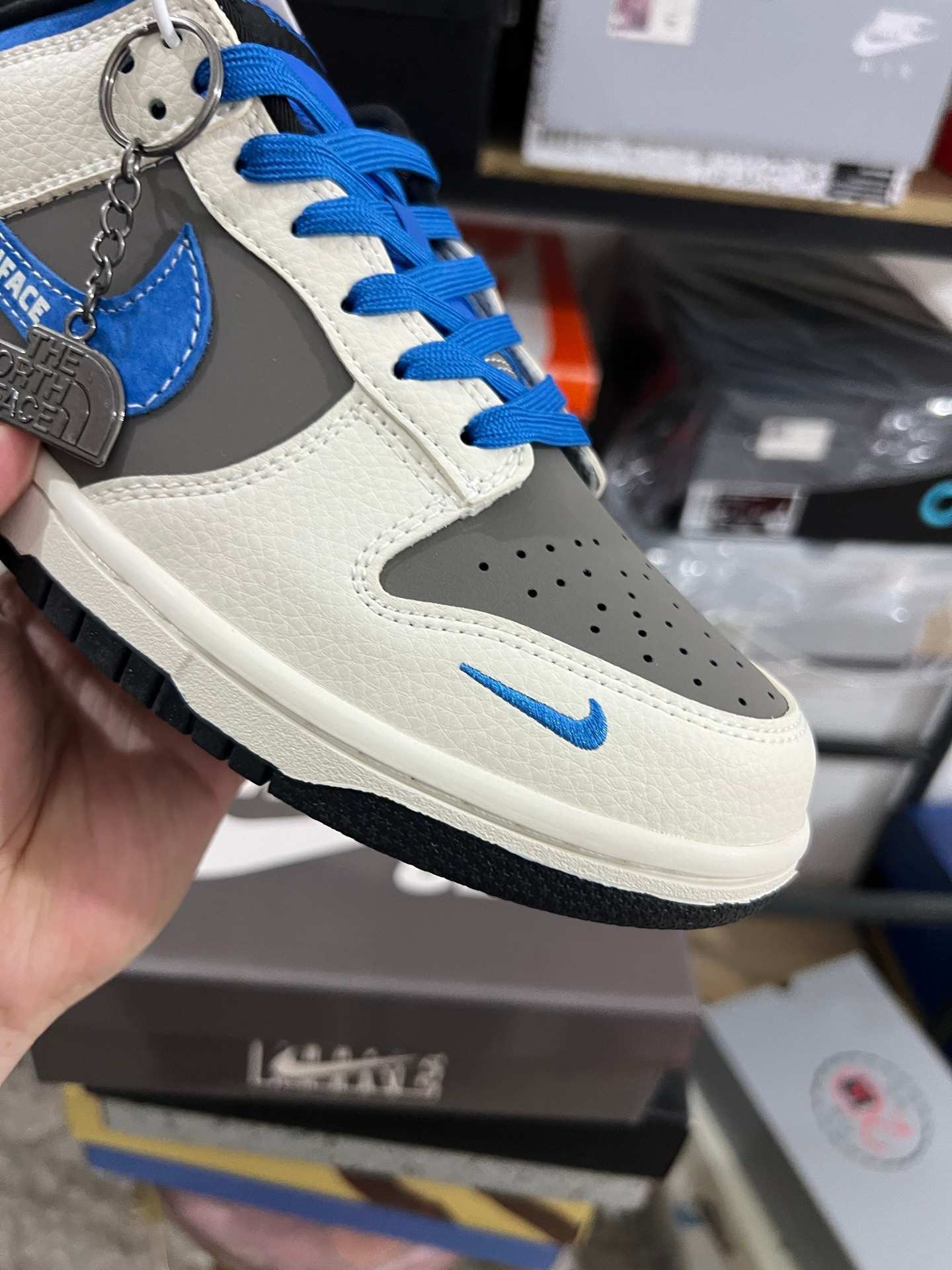 Dunk Low X The North Face
