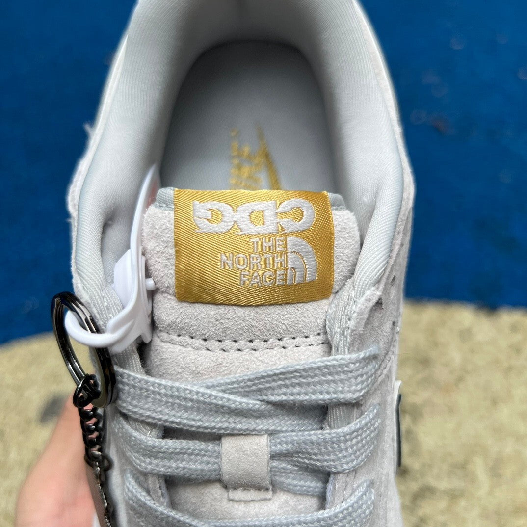 Dunk low X The North Face